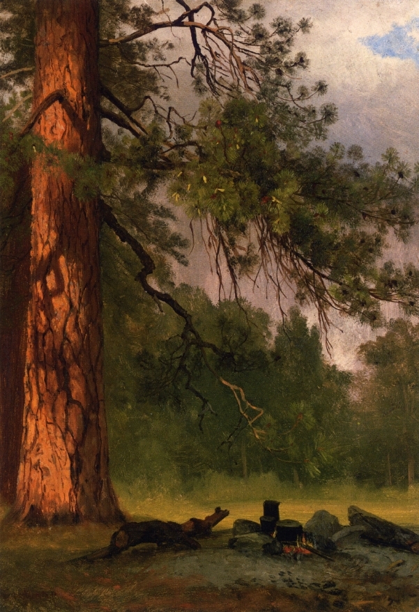 Albert Bierstadt Oil Painting Yosemite Camp Kitchen - Click Image to Close